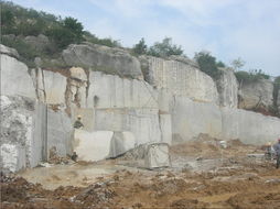 建设美丽中国大理石瓷砖 添砖加瓦